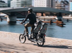 Thule: Yepp Nexxt 2 Maxi Rack – Silla Niños